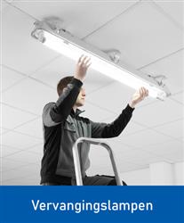 Vervangingslampen